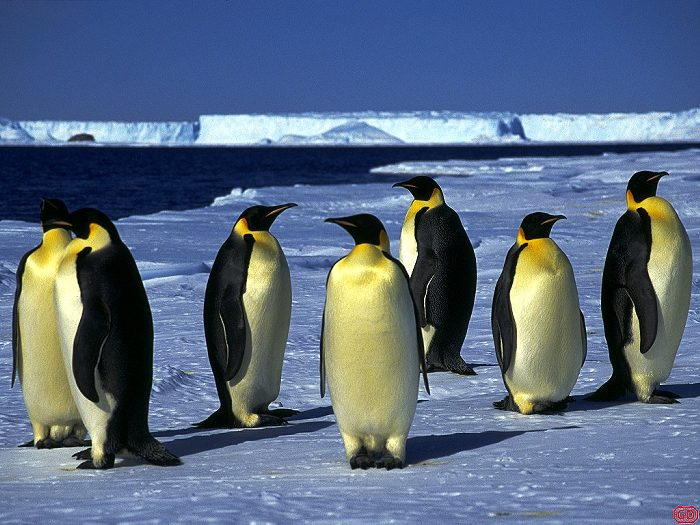 奇幻南極風光桌布