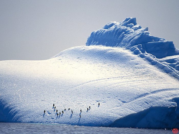 奇幻南極風光桌布