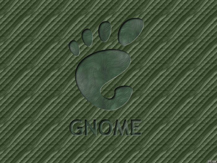 GnometC६M