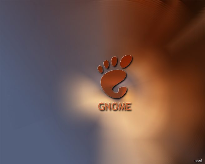 Gnome६