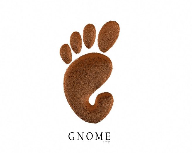 Gnome६