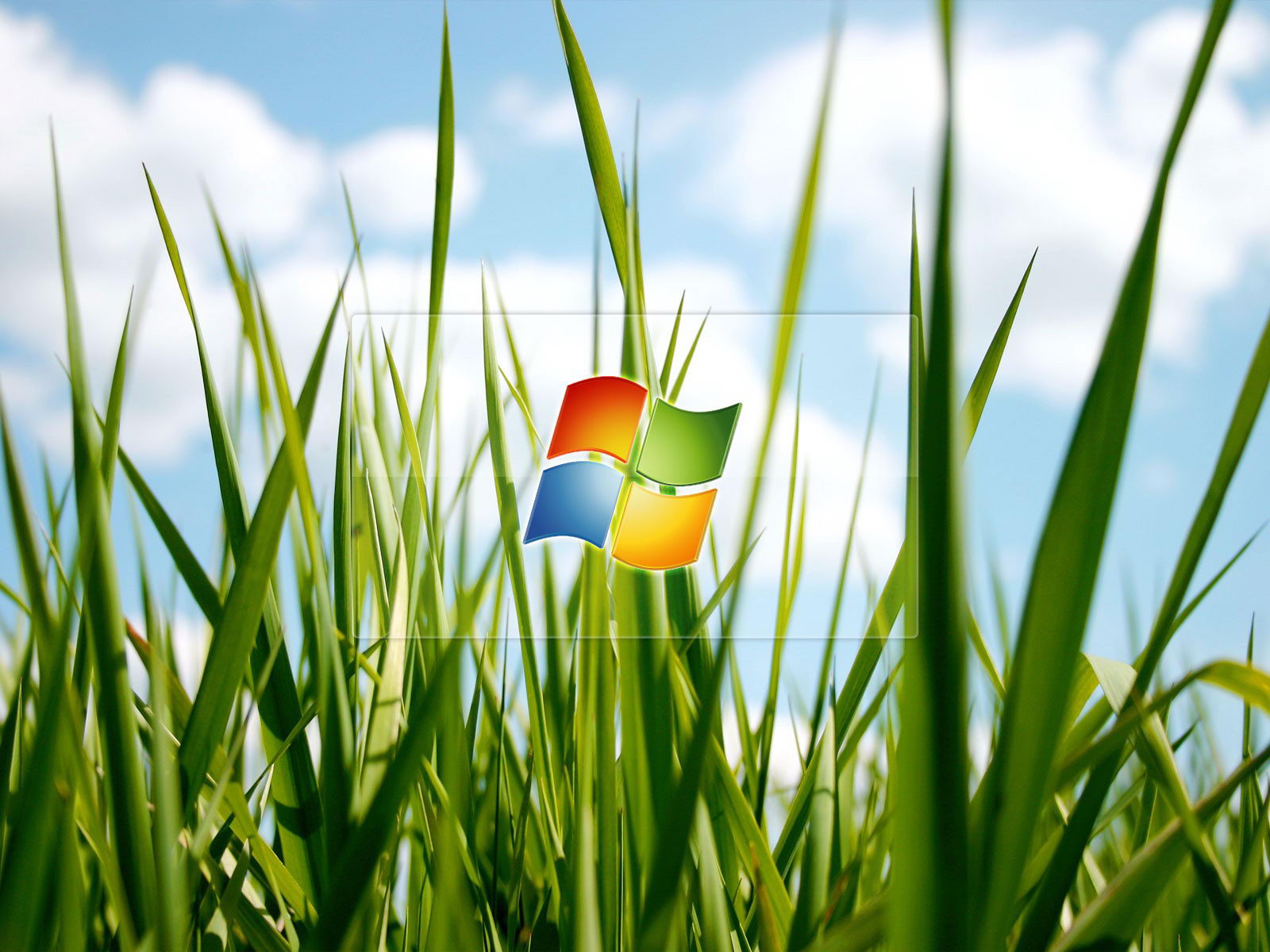 Windows Vista६1600*1200