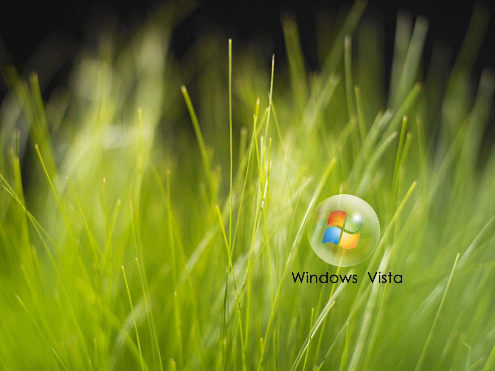 Windows Vista६1600*1200