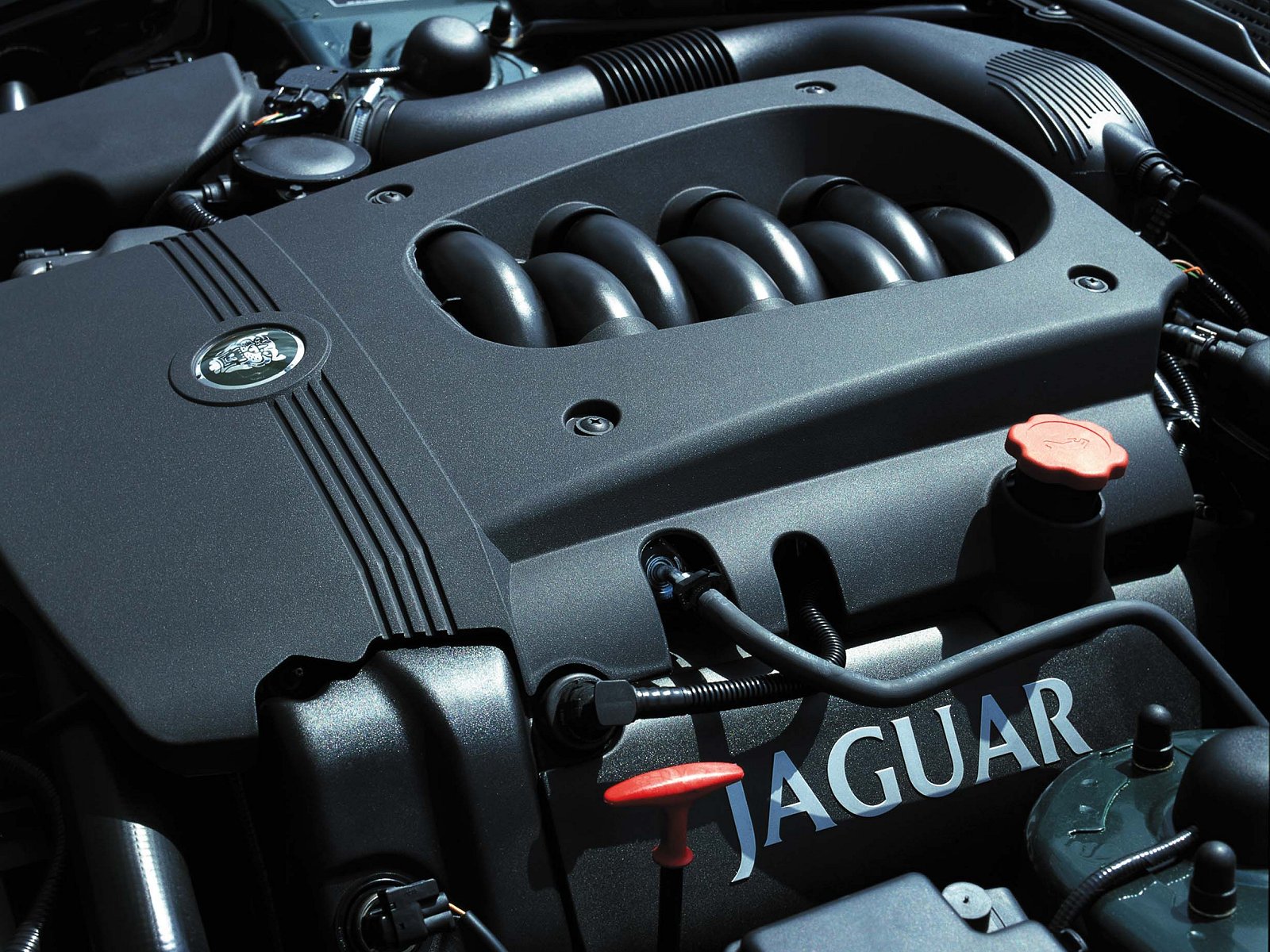 \JaguarT